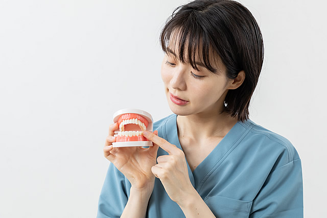 口腔内の健康に関する正しい知識を得られる
